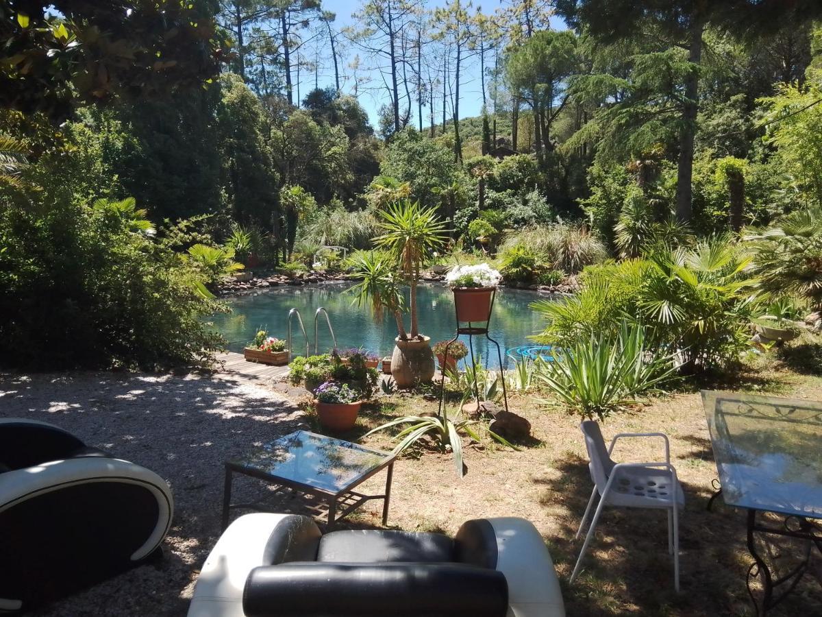 Chambre Studio Verparadis Mourèze Zewnętrze zdjęcie
